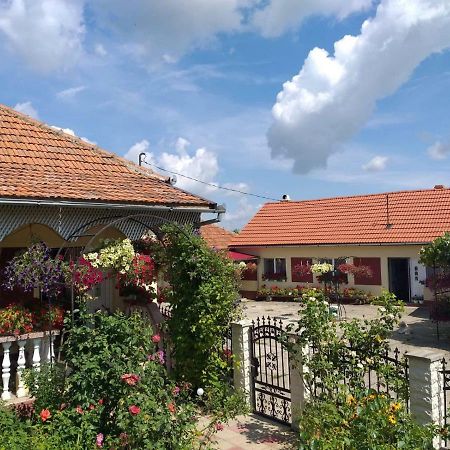 La Mosu-N Retezat Guest House Nucsoara  Eksteriør bilde