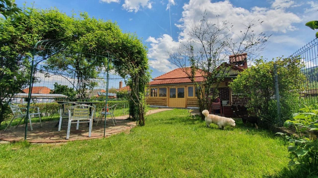 La Mosu-N Retezat Guest House Nucsoara  Eksteriør bilde