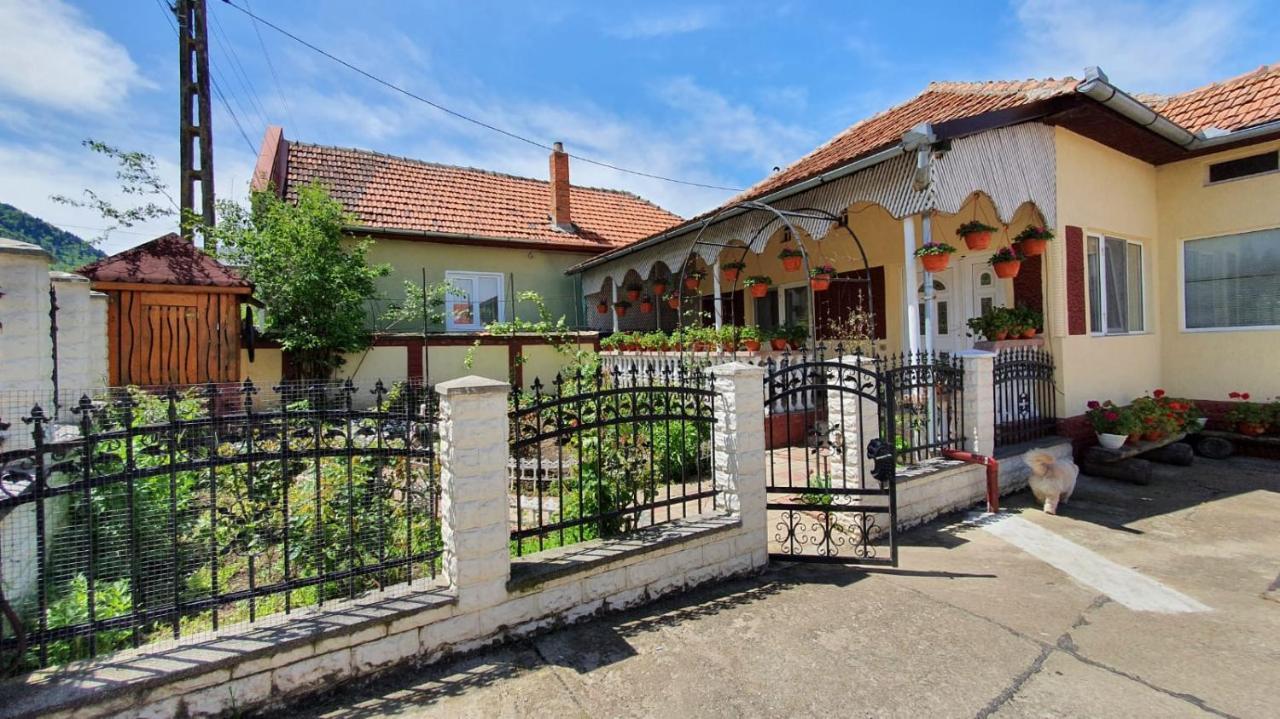 La Mosu-N Retezat Guest House Nucsoara  Eksteriør bilde