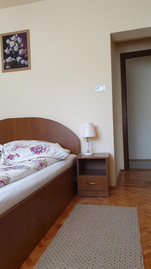 La Mosu-N Retezat Guest House Nucsoara  Eksteriør bilde