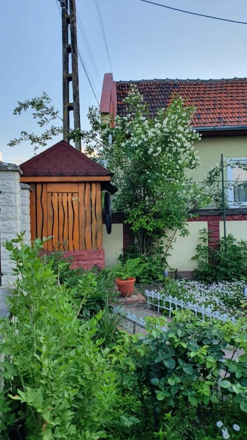 La Mosu-N Retezat Guest House Nucsoara  Eksteriør bilde