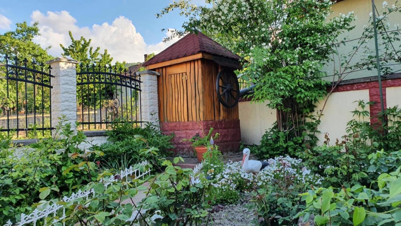 La Mosu-N Retezat Guest House Nucsoara  Eksteriør bilde