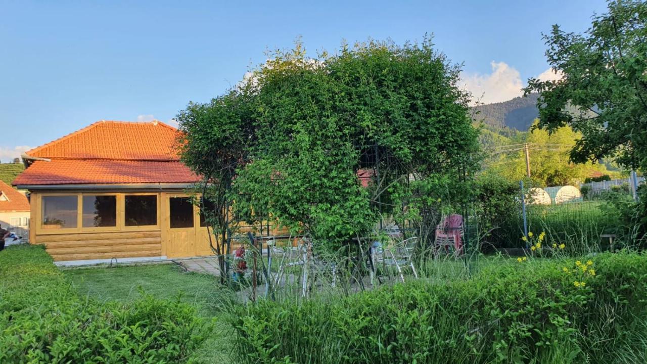 La Mosu-N Retezat Guest House Nucsoara  Eksteriør bilde