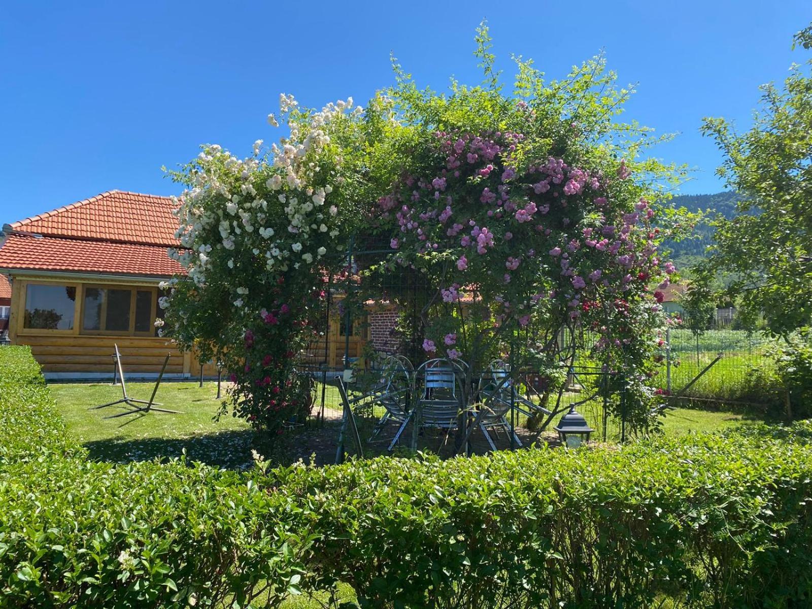 La Mosu-N Retezat Guest House Nucsoara  Eksteriør bilde