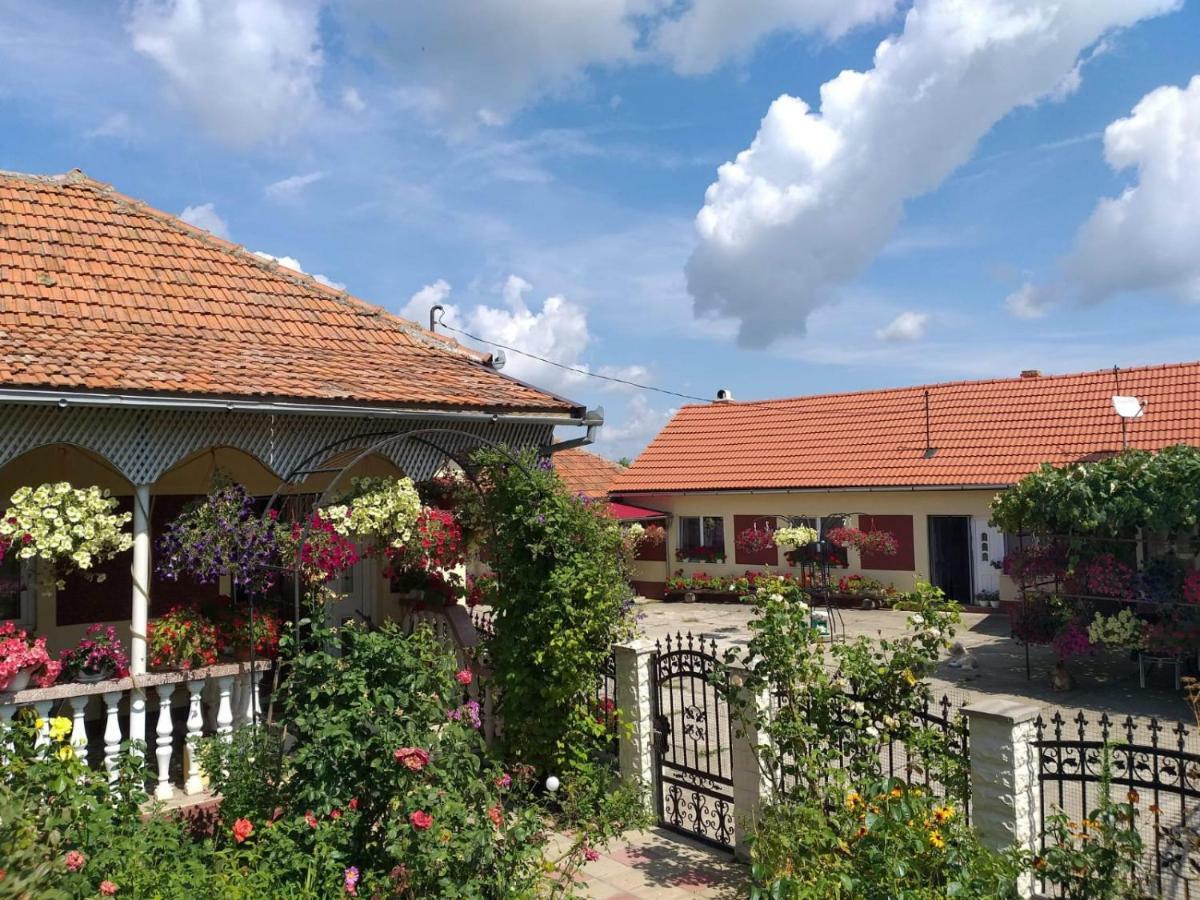 La Mosu-N Retezat Guest House Nucsoara  Eksteriør bilde